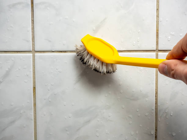 Best Mold Damage Repair  in Maybrook, NY