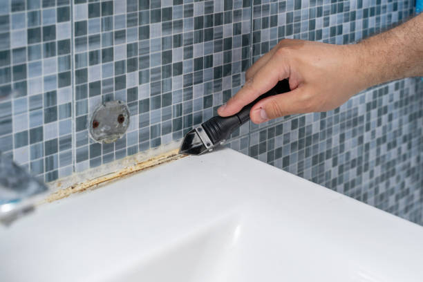 Mold Removal Process in Maybrook, NY