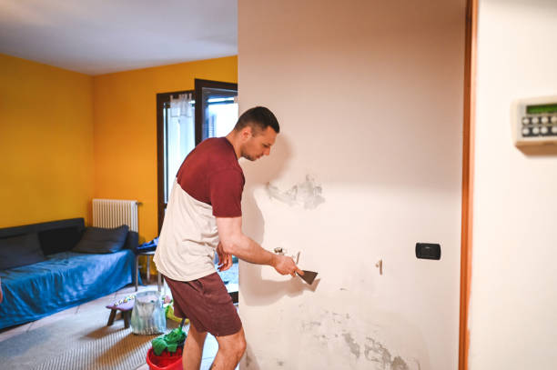 Best Mold Damage Repair  in Maybrook, NY